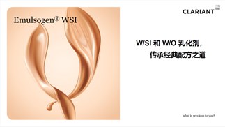 低粘粉底的首选-WSI